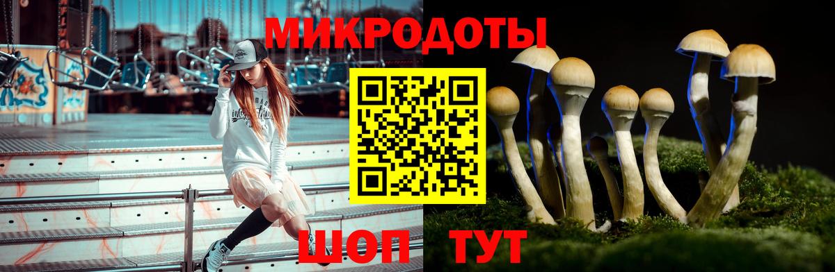 Озёры  Псилоцибиновые грибы Psilocybine cubensis  Вход с VPN  Псилоцибиновые грибы мицелий 
